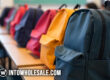 Bulk School Backpacks in Assorted Colors – Perfect for Back-to-School